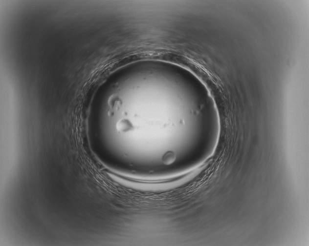 X0000116101447200911301053