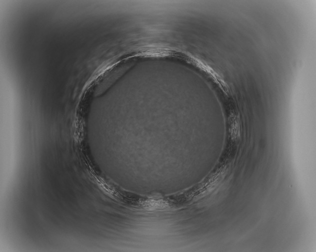 X0000116101448200911301053