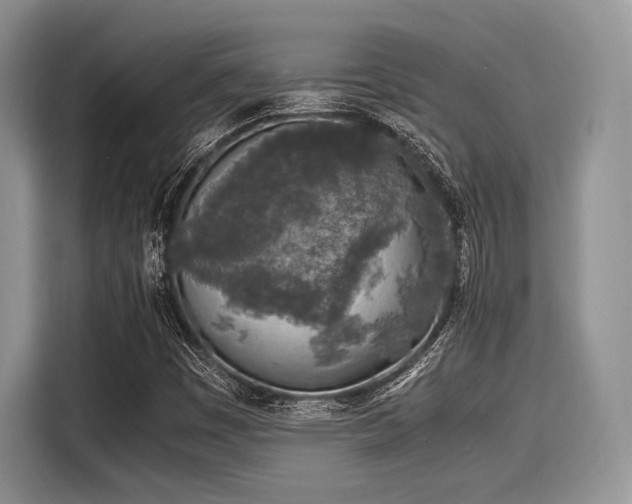 X0000116101449200911301053