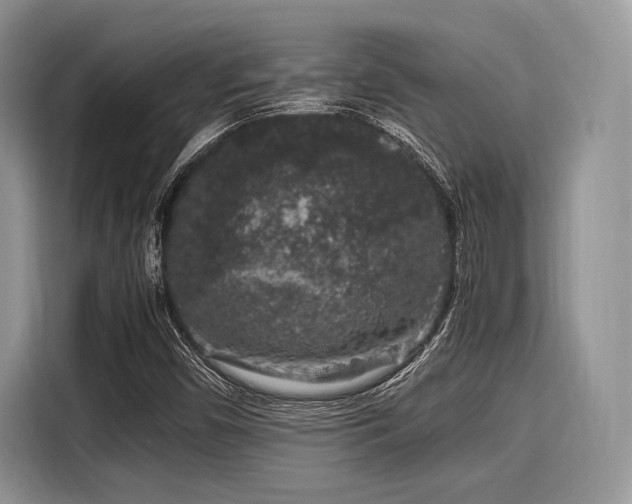 X0000116101450200911301053