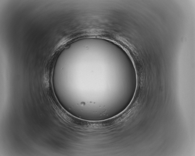 X0000116101451200911301053