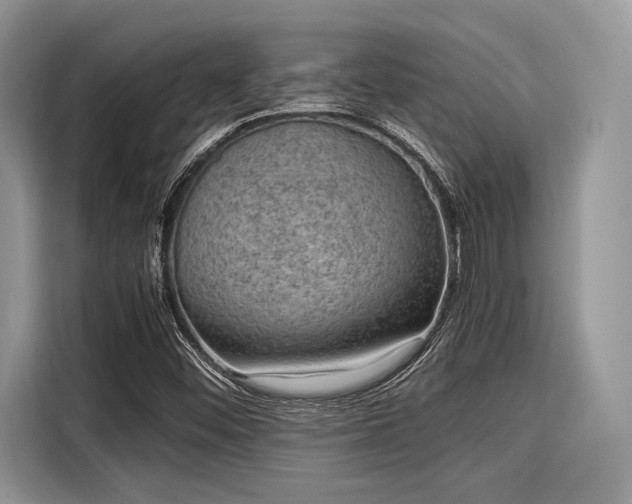X0000116101452200911301053