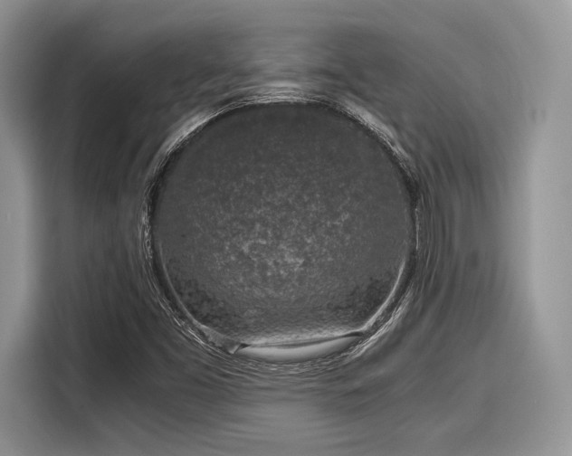 X0000116101453200911301053
