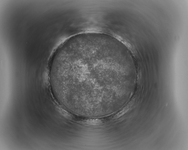 X0000116101454200911301053