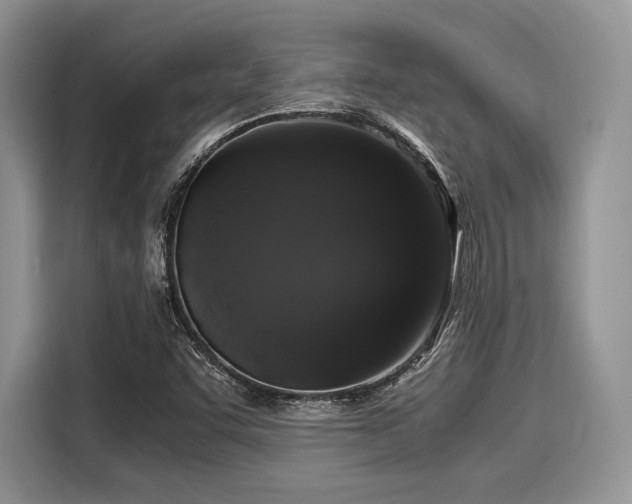 X0000116101455200911301053