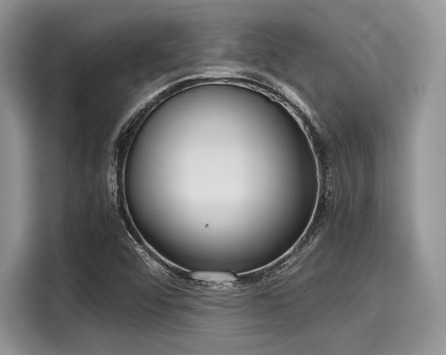 X0000116101456200911301053