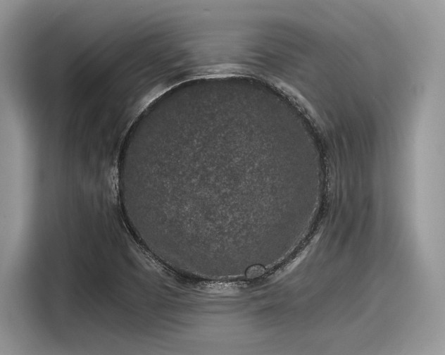 X0000116101457200911301053