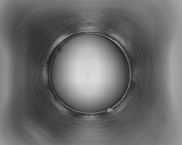 X0000116101458200911301053