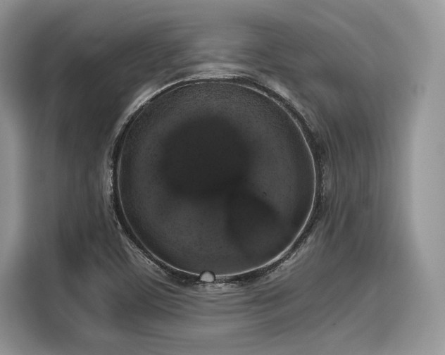 X0000116101459200911301053