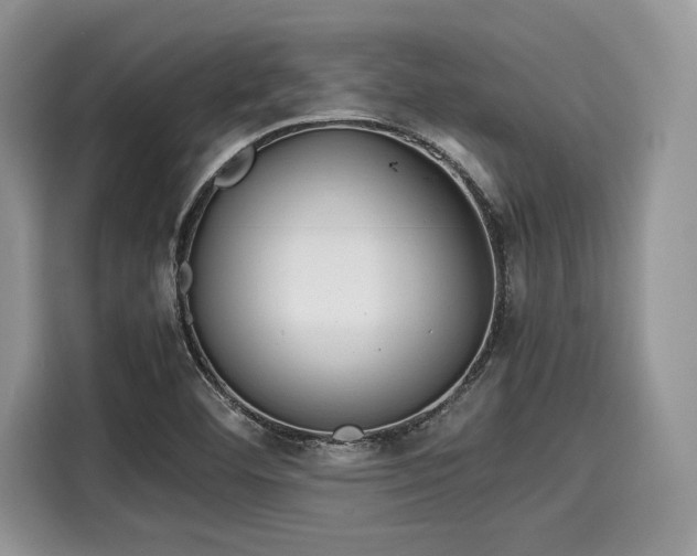 X0000116101460200911301053