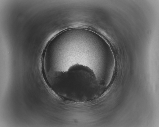 X0000116101463200911301053