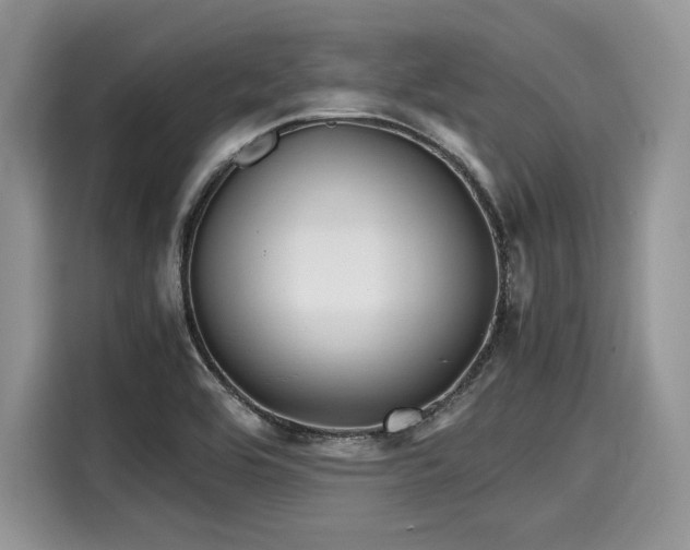 X0000116101464200911301053