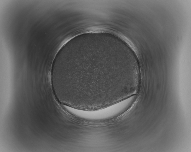 X0000116101465200911301053