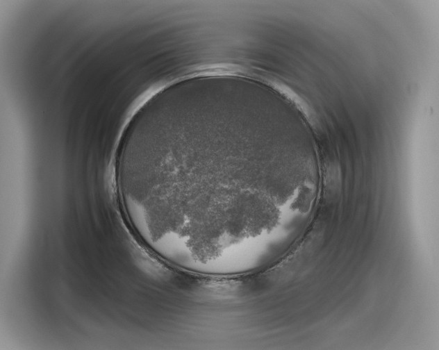 X0000116101466200911301053