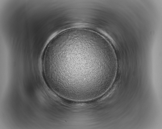 X0000116101467200911301053