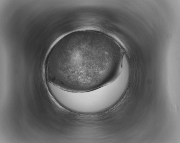 X0000116101468200911301053