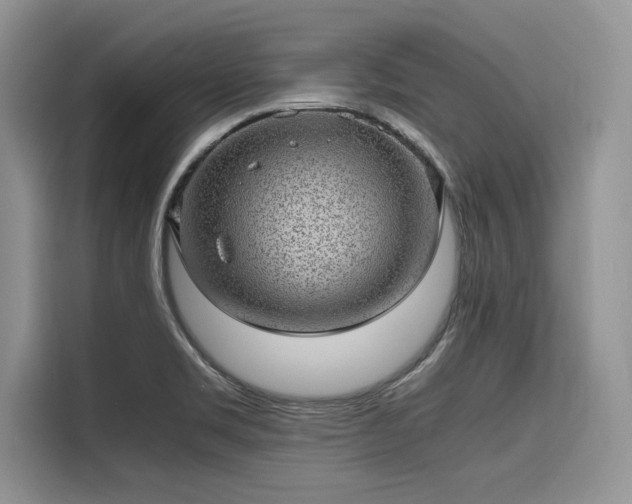 X0000116101469200911301053
