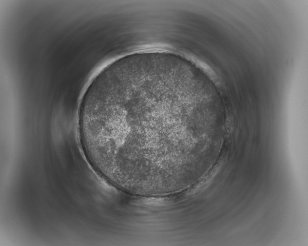 X0000116101470200911301053