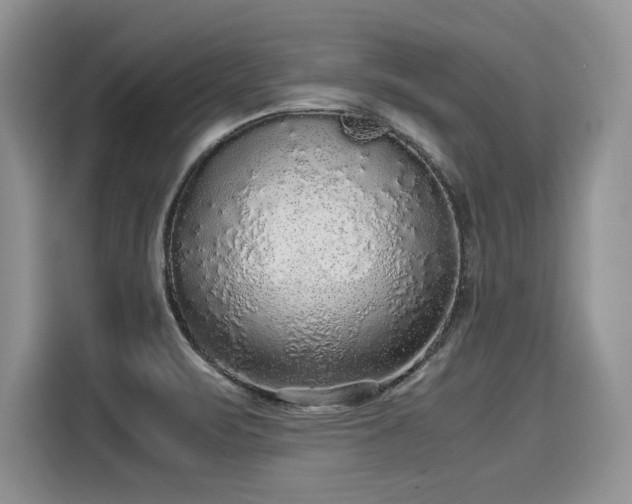 X0000116101471200911301053