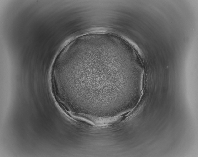 X0000116101475200911301053