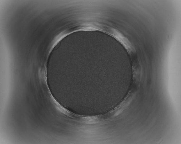 X0000116101476200911301053
