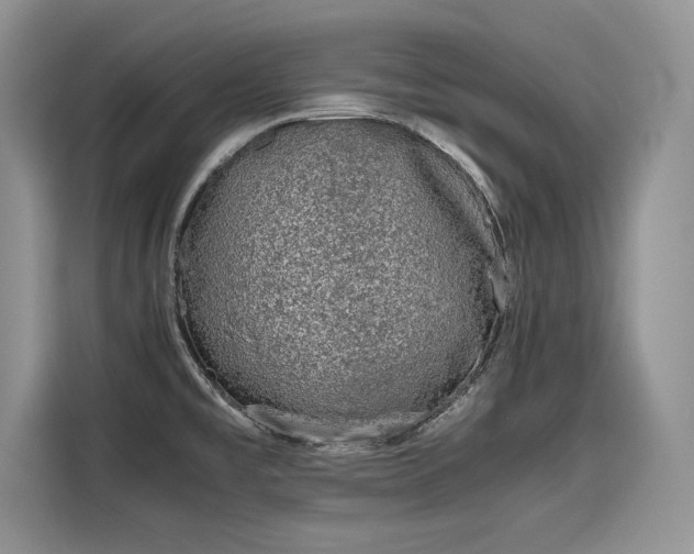 X0000116101477200911301053