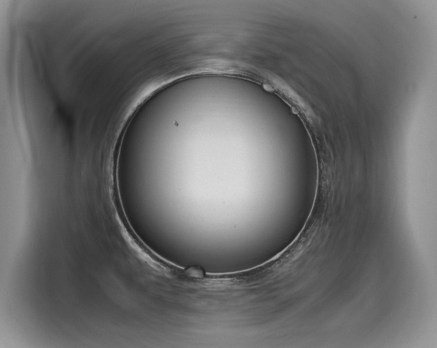 X0000116101479200911301053