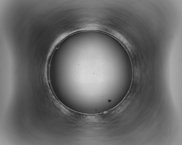 X0000116101480200911301053