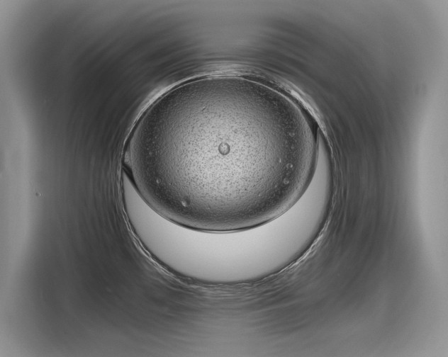 X0000116101481200911301053