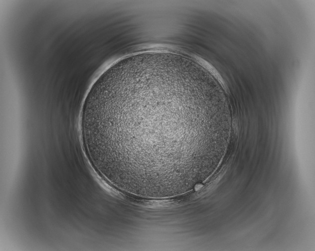 X0000116101482200911301053