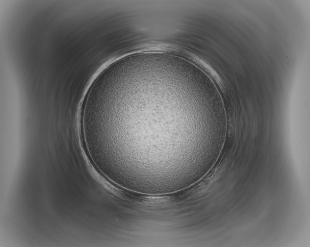 X0000116101483200911301053