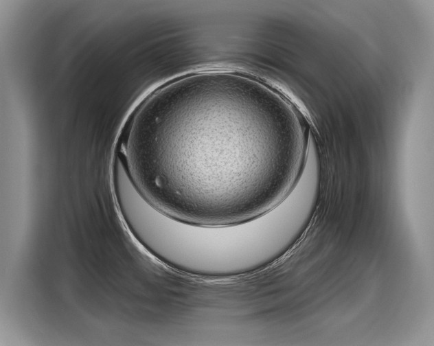 X0000116101484200911301053