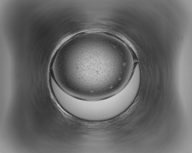 X0000116101485200911301053