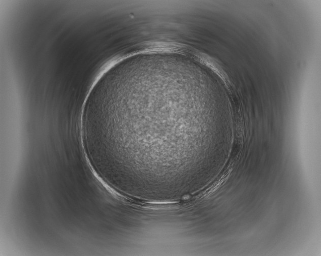 X0000116101487200911301053