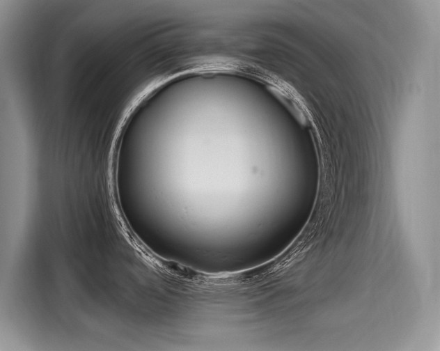 X0000116101488200911301052