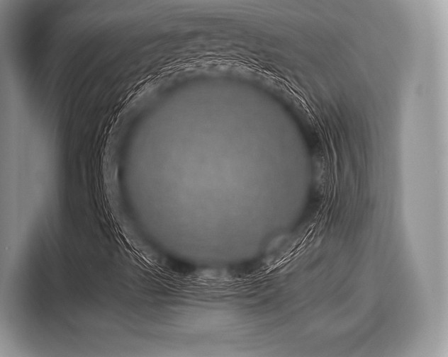 X0000116101489200911301052