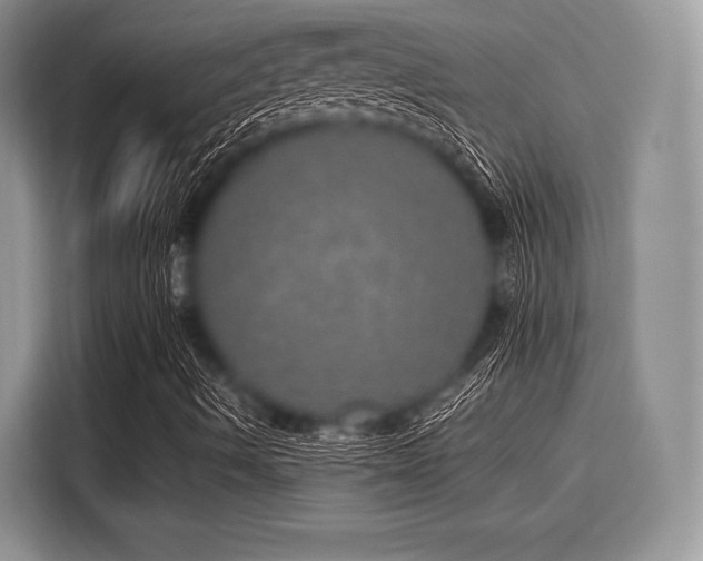 X0000116101490200911301052