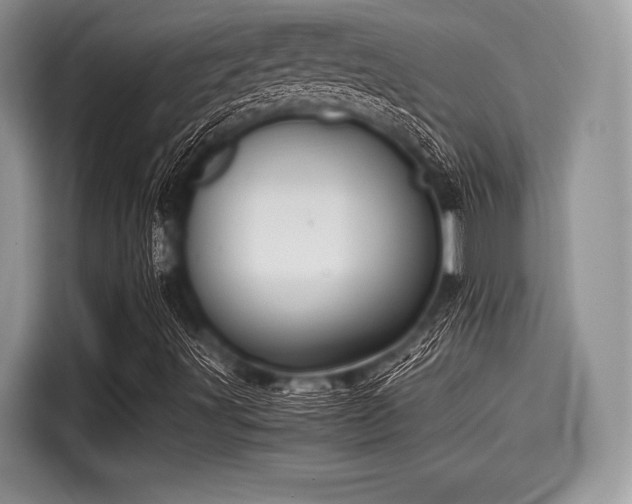 X0000116101491200911301052