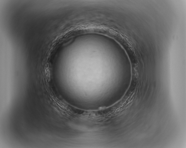 X0000116101493200911301052