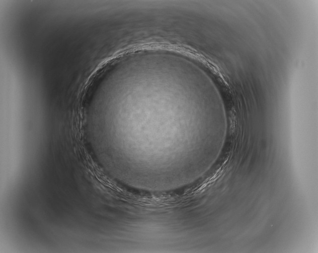 X0000116101494200911301052