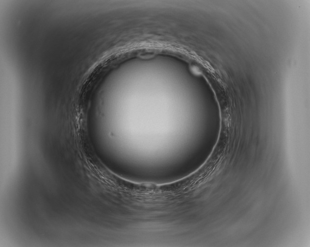 X0000116101495200911301052