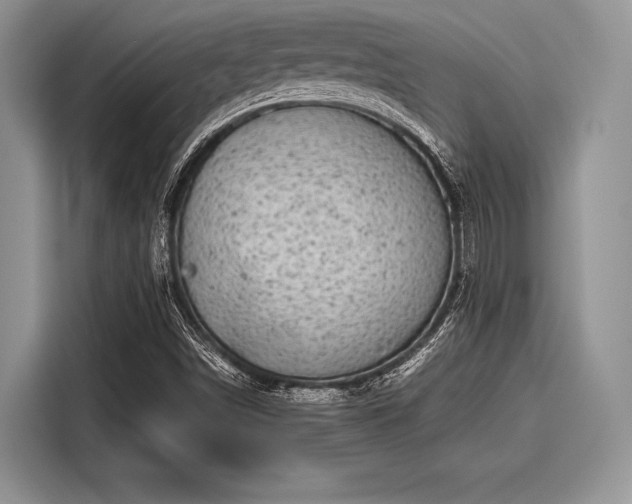 X0000116101498200911301052