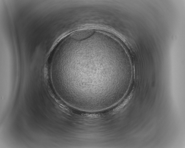 X0000116101501200911301052