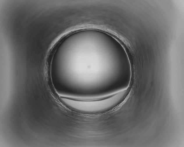 X0000116101502200911301052