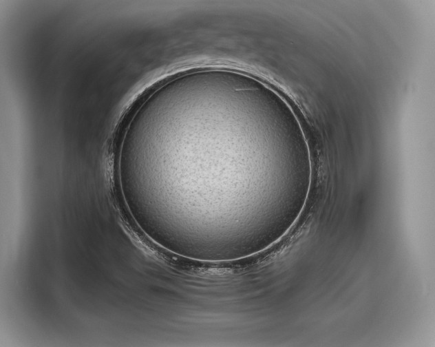 X0000116101503200911301052