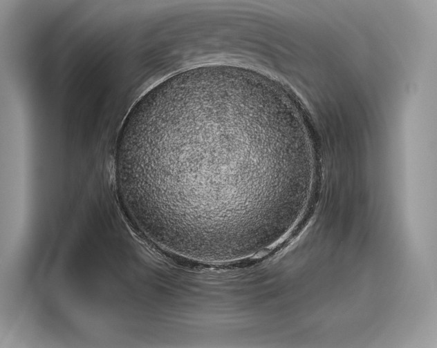 X0000116101505200911301052