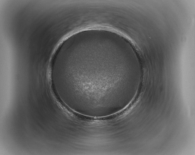 X0000116101506200911301052