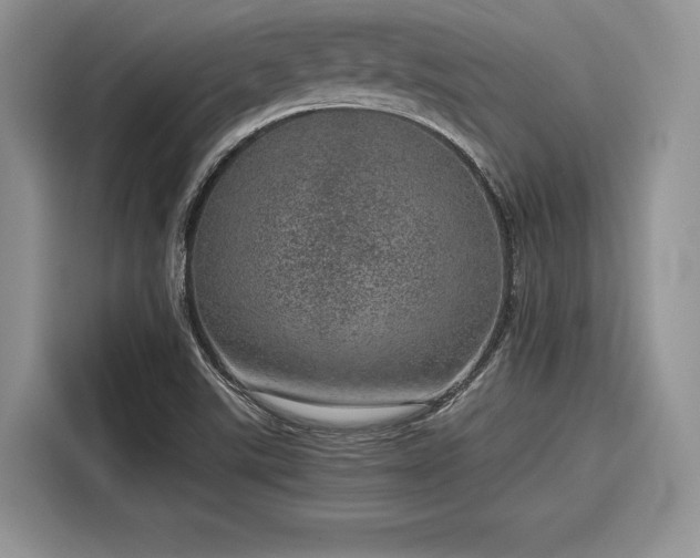 X0000116101507200911301052