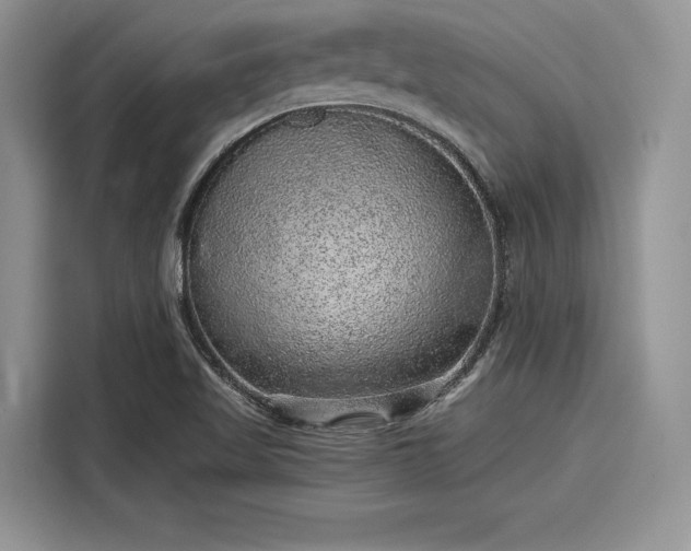 X0000116101509200911301052