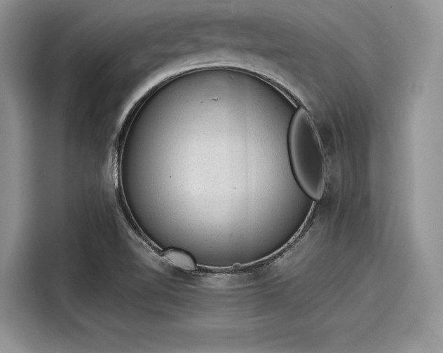 X0000116101510200911301052